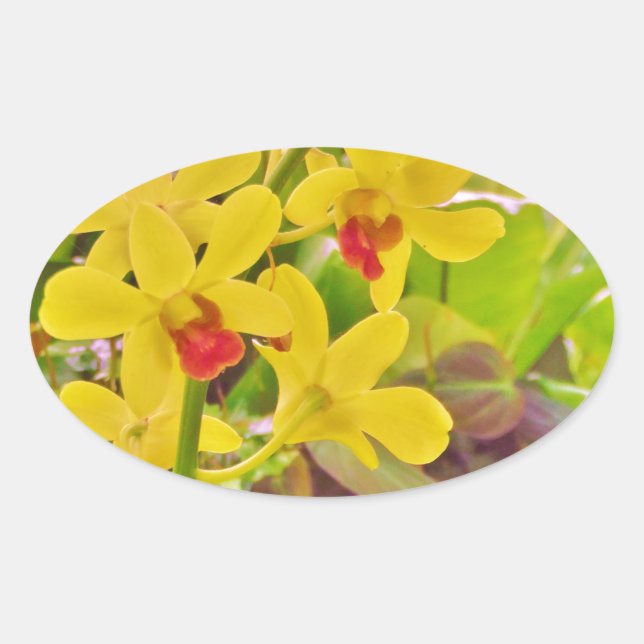 Schöne gelbe Herbstorchideen Ovaler Aufkleber (Vorderseite)