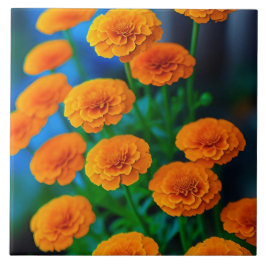Schöne Gelbe Marigold-Blume Fliese