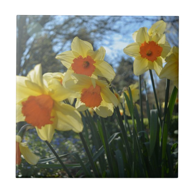 Schöne, gelbe, orangefarbene Blume Fliese (Vorderseite)
