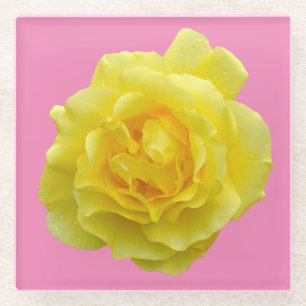 Schöne gelbe Rose Glasuntersetzer