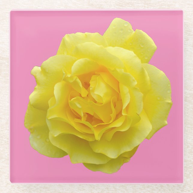 Schöne gelbe Rose Glasuntersetzer (Vorderseite)