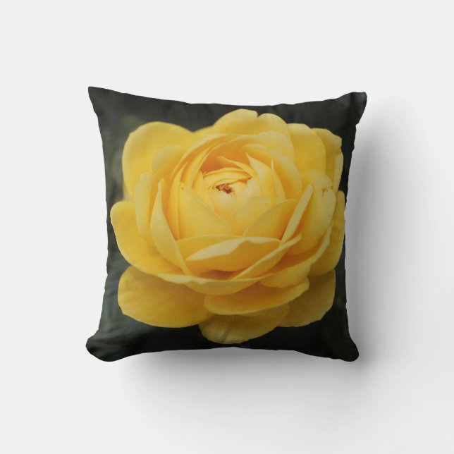 Schöne gelbe Rose Kissen (Vorderseite)