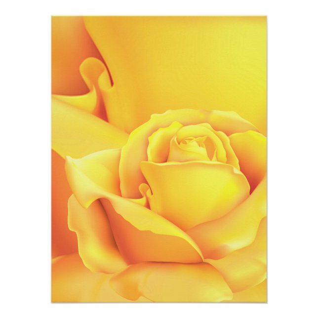 Schöne Gelbe Rose Poster (Vorderseite)