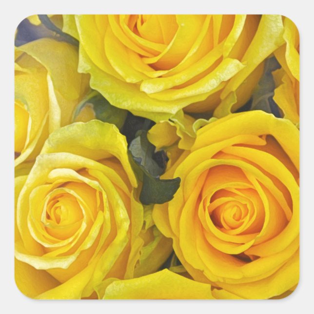 Schöne gelbe Rosen Quadratischer Aufkleber (Vorderseite)