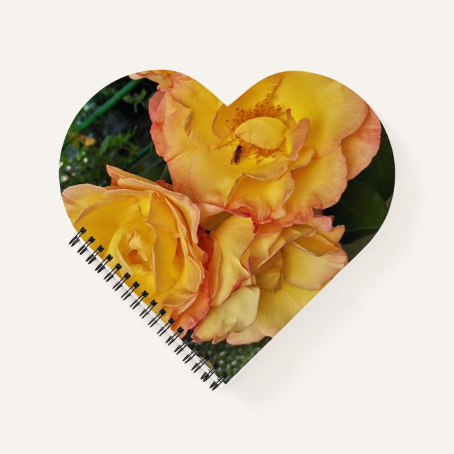 Schöne Gelbe Rosen und Insekten Notizbuch (Vorderseite)