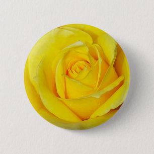 Schöne gelbe Rosenblätter Button