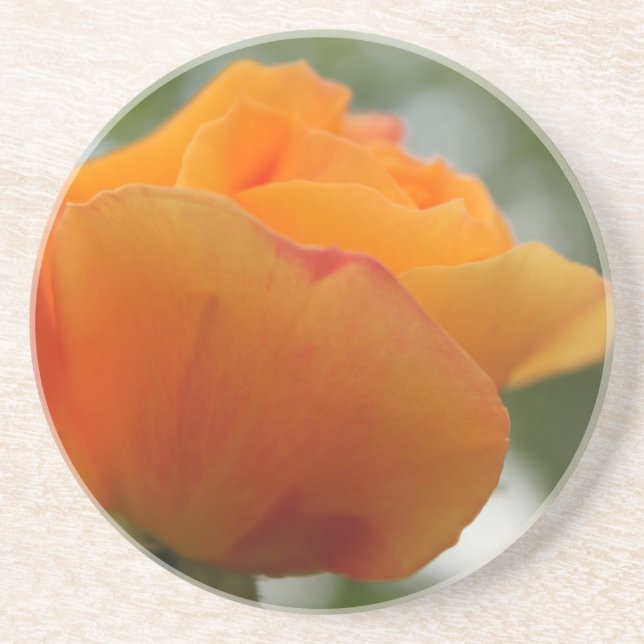 Schöne gelbe Rosenblütenfotografie. Getränkeuntersetzer (Vorne)