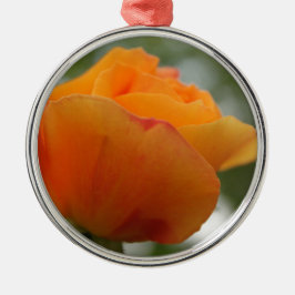 Schöne gelbe Rosenblütenfotografie. Silbernes Ornament