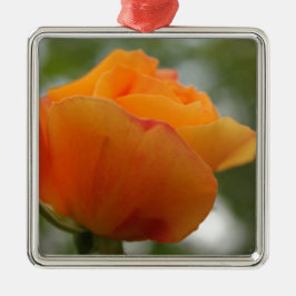 Schöne gelbe Rosenblütenfotografie. Silbernes Ornament