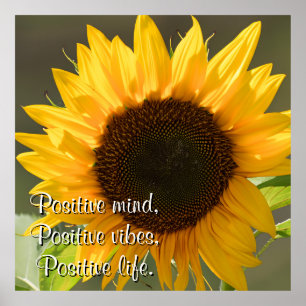 Schöne gelbe Sonnenblume unter dem Sonnenbild Poster