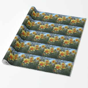 Schöne gelbe und orange Frühlingsnarzissenblumen Geschenkpapier