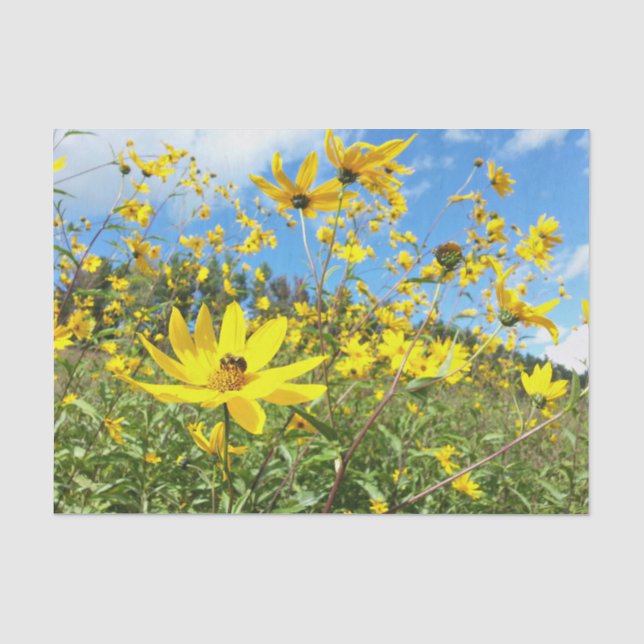 Schöne gelbe Wildblumen Seidenpapier (Vorderseite)