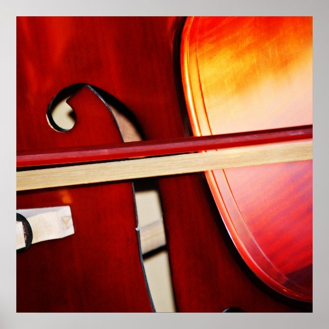 Schöne Gestänge Poster (Vorne)