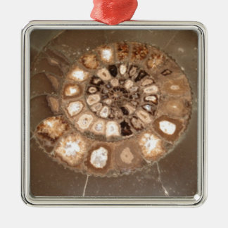 Schöne, geteilte Dactylioceras-Mammnitel Fossil Ornament Aus Metall