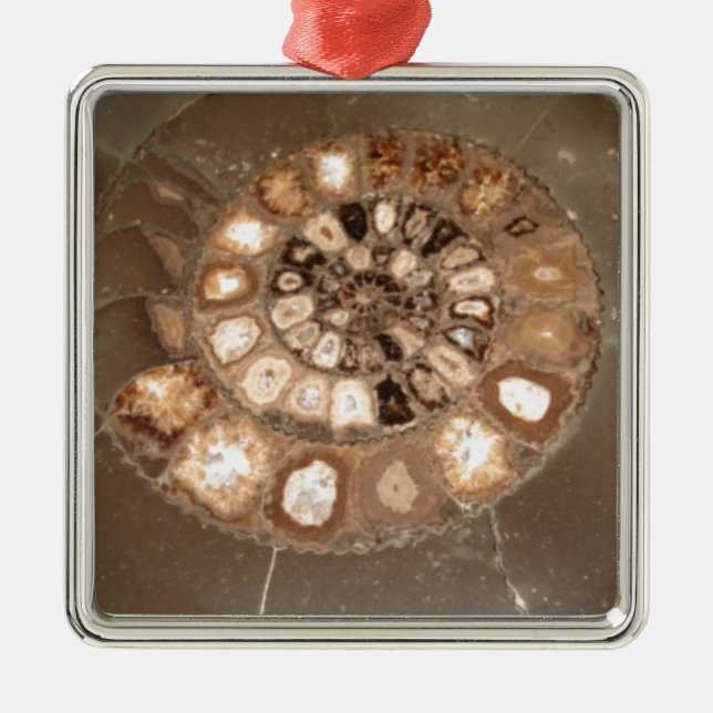 Schöne, geteilte Dactylioceras-Mammnitel Fossil Ornament Aus Metall (Vorne)