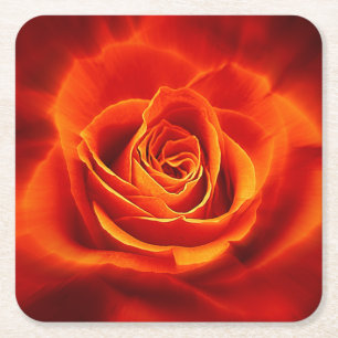 Schöne glühende Rote Orange Rose Rechteckiger Pappuntersetzer