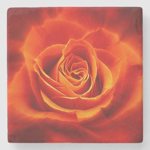 Schöne glühende Rote Orange Rose Steinuntersetzer