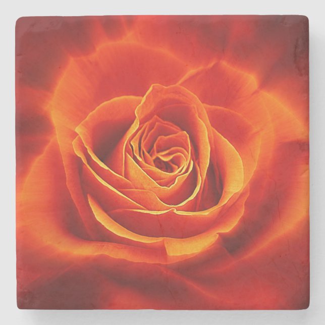 Schöne glühende Rote Orange Rose Steinuntersetzer (Vorderseite)