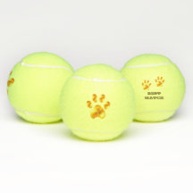Schöne goldene Paws
