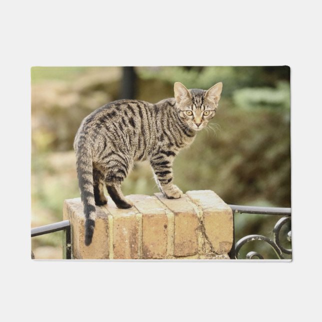 Schöne Grau Black Bengalisch Kitten Fußmatte (Vorderseite)