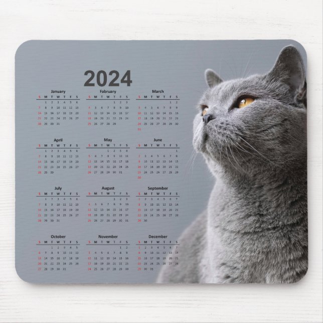 Schöne graue Katze 2024 Kalender Maus Pad Mousepad (Vorne)