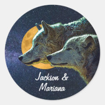 Schöne Grauwölfe in der Nacht