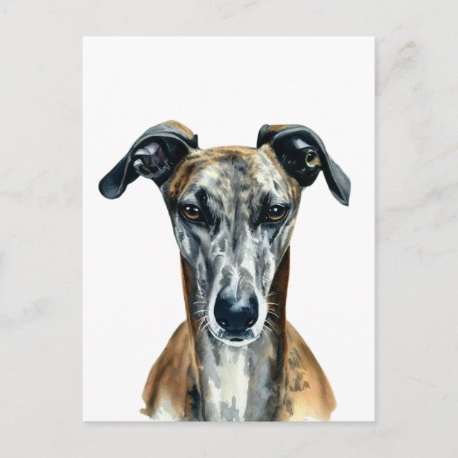 Schöne Gridle Greyhound Illustration Postkarte (Vorderseite)