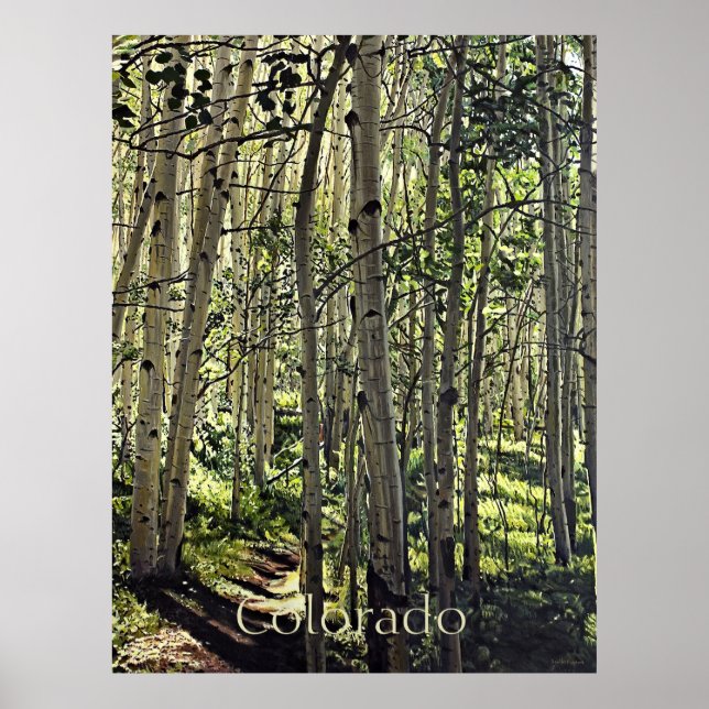 Schöne Grove von Aspen Bäumen in Crested Butte Po Poster (Vorne)