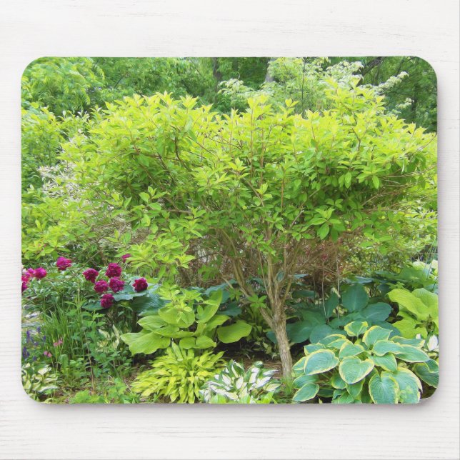 Schöne Grüne Gartenlandschaft mit Hostas Mousepad (Vorne)