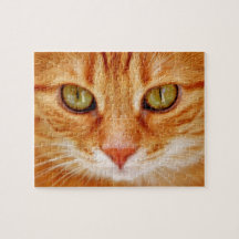 Schöne grüne mit Augen orange Tiger-Katze