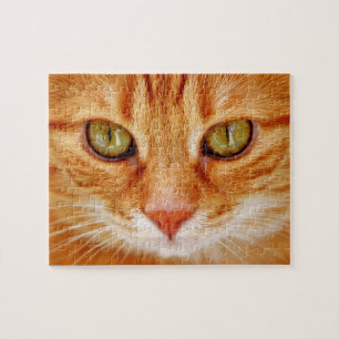 Schöne grüne mit Augen orange Tiger-Katze
