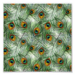 Schöne grüne Pfau-Feder Fotodruck