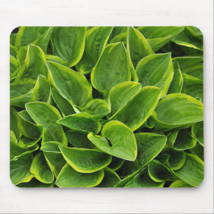 Schöne grüne Pflanze Mousepad