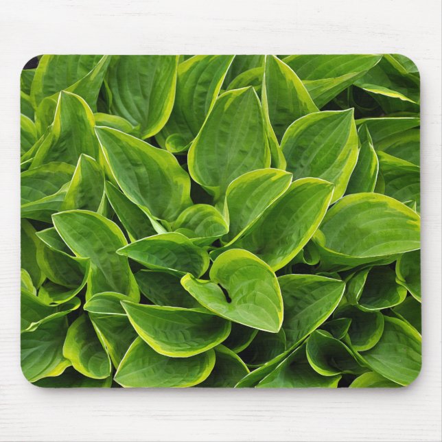 Schöne grüne Pflanze Mousepad (Vorne)