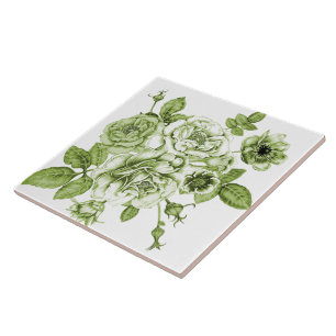 Schöne grüne Rose Fliese