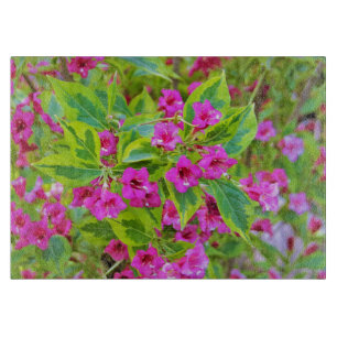 Schöne grüne Weigela mit karmesinroten Blüten Schneidebrett