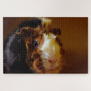 Schöne Guinea Pig, Jigsaw Puzzle