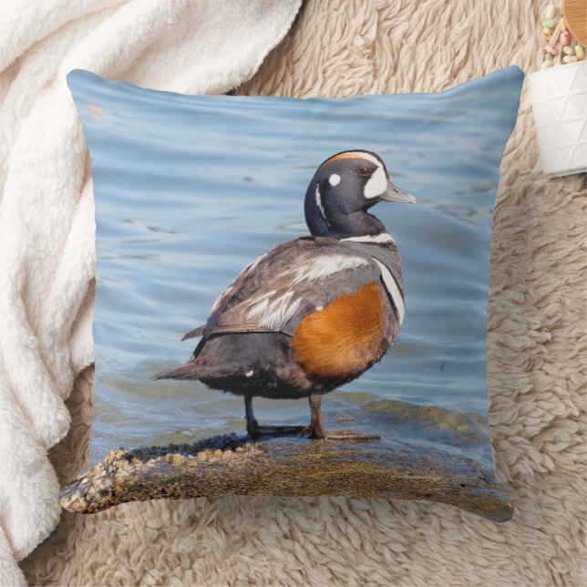 Schöne Harlequin Duck on Beach Shoreline Kissen (Decke)