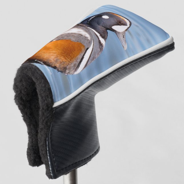 Schöne Harlequin-Ente am Felsen Golf Headcover (3/4 Vorderseite)