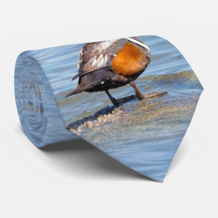 Schöne Harlequin-Ente am Felsen Krawatte