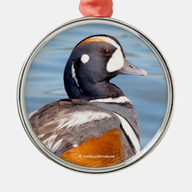 Schöne Harlequin-Ente am Felsen Ornament Aus Metall (Vorne)