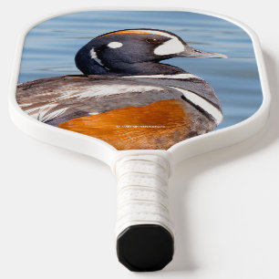 Schöne Harlequin-Ente am Felsen Pickleball Schläger
