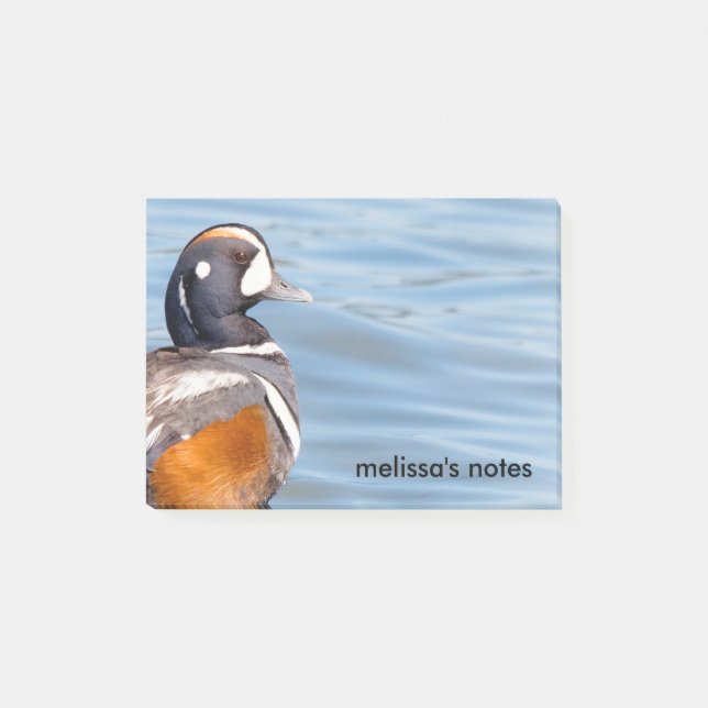 Schöne Harlequin-Ente am Felsen Post-it Klebezettel (Vorderseite)