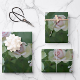 Schöne hellrosa Rose Geschenkpapier Set