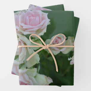 Schöne hellrosa Rose Geschenkpapier Set