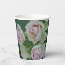 Schöne hellrosa Rose