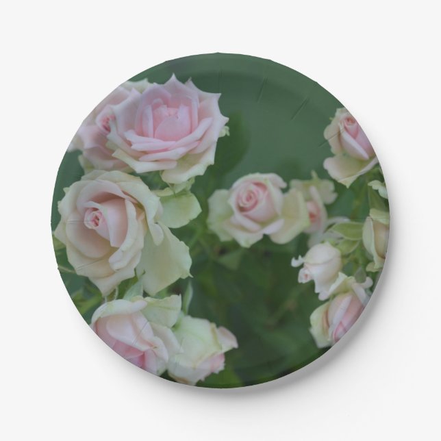 Schöne hellrosa Rose Pappteller (Vorderseite)