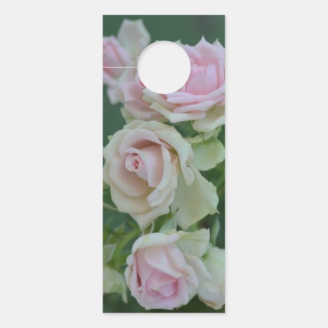 Schöne hellrosa Rose Türanhänger (Vorderseite)