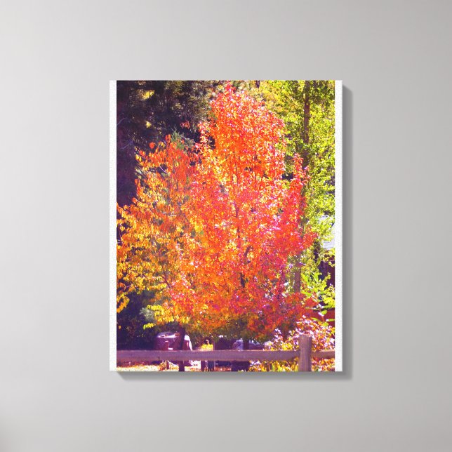 Schöne Herbstfarben 2 Leinwanddruck (Vorderseite)