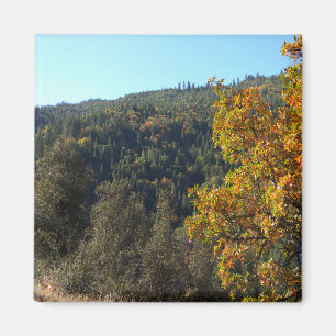 Schöne Herbstfarben...... Magnet